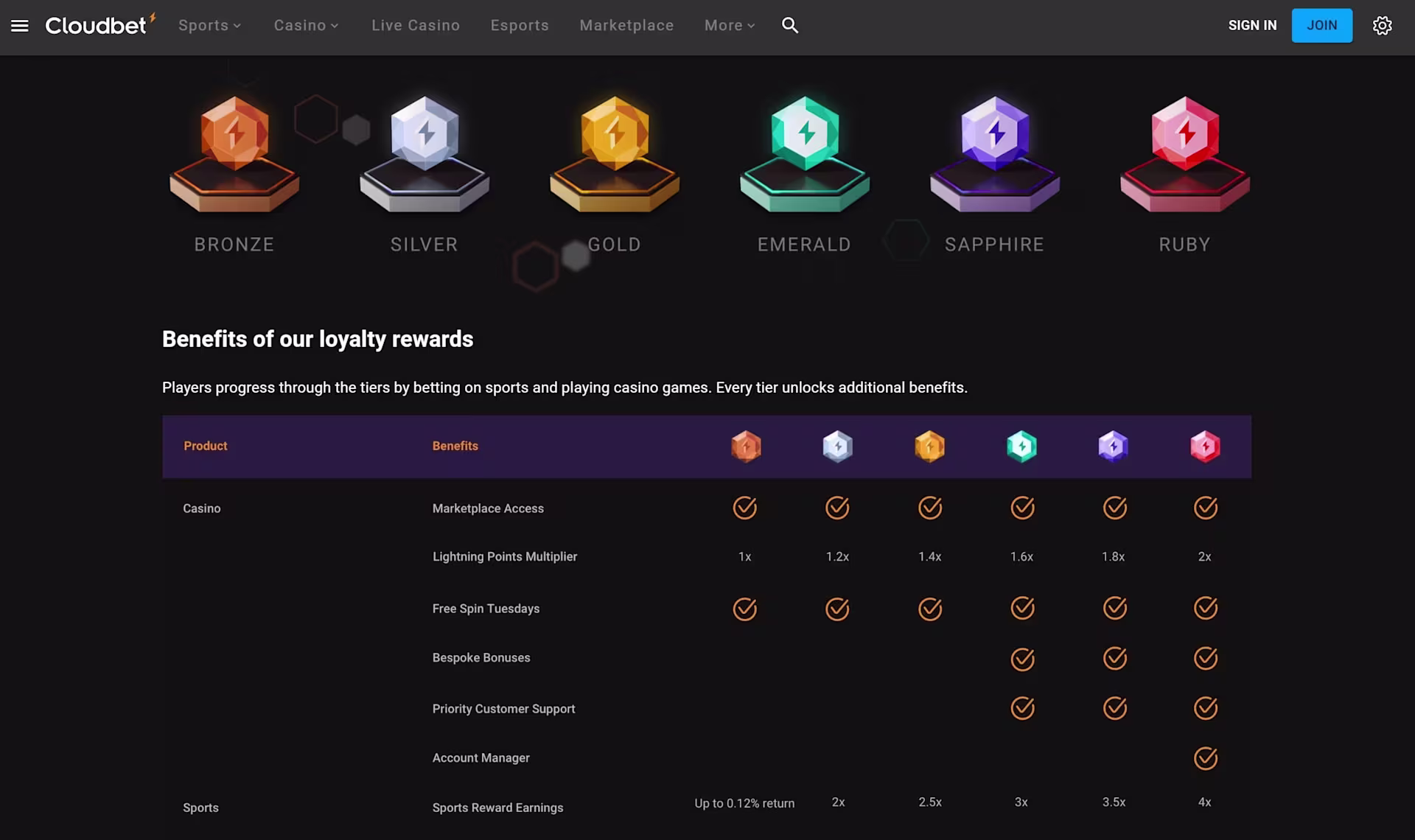 Cloudbet Casino VIP progam