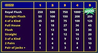 Video Poker