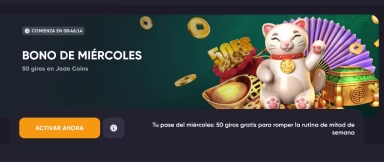 spinarium-banner.avif