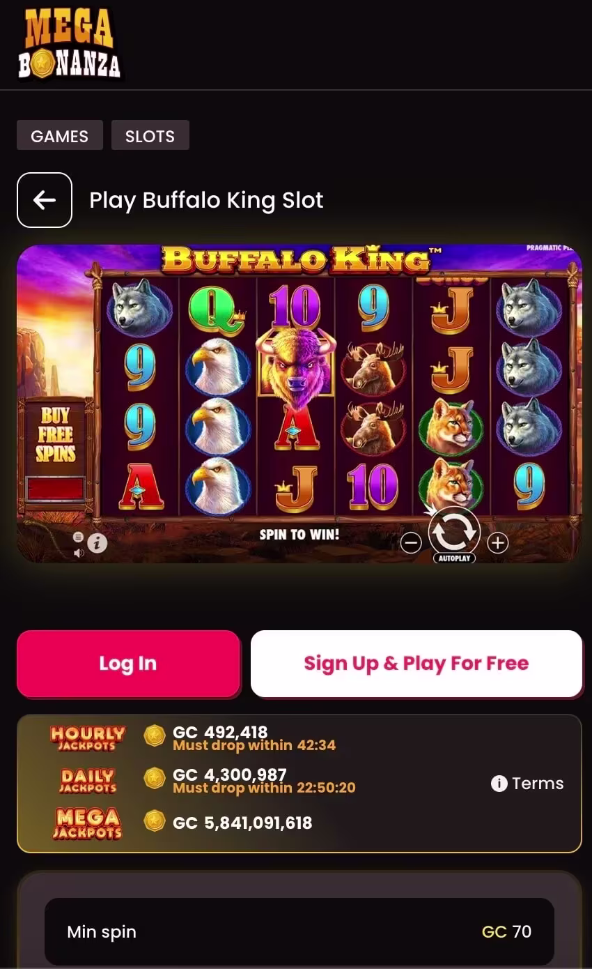 Mega Bonanza screenshot 6